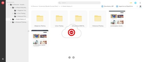 Alternative view of A1 Revenue - Accelerator (Bundle Courses)