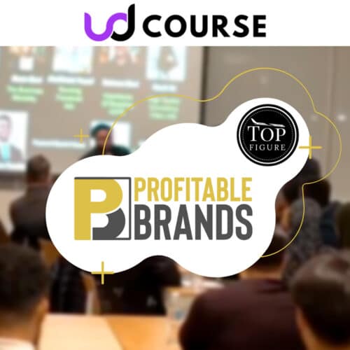 Profitable Brands - Top Figure