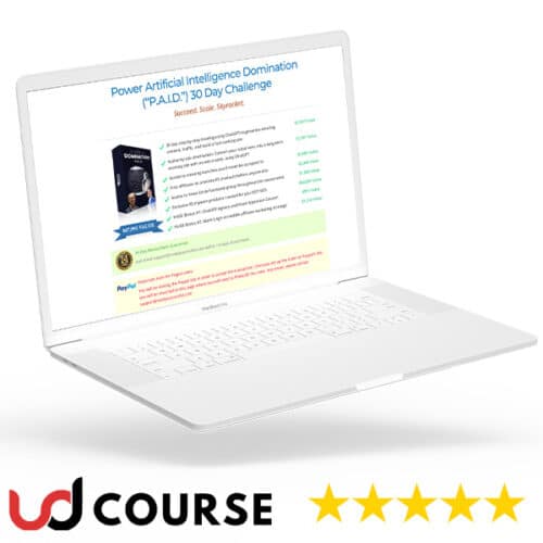 Barry Plaskow, Mayer Reich – Power AI Domination (PAID)