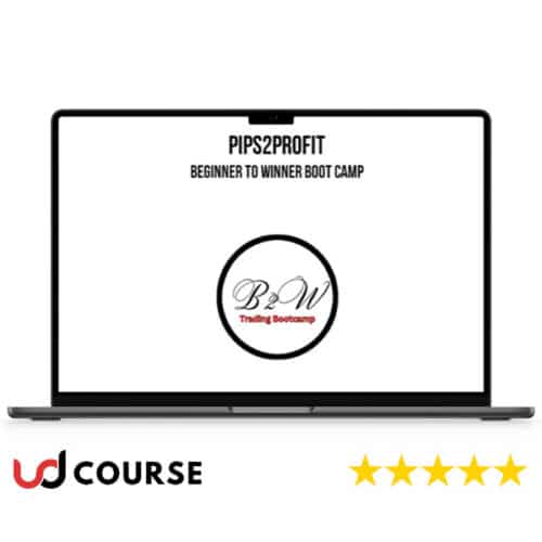 Pips2Profit – Beginner To Winner Boot Camp